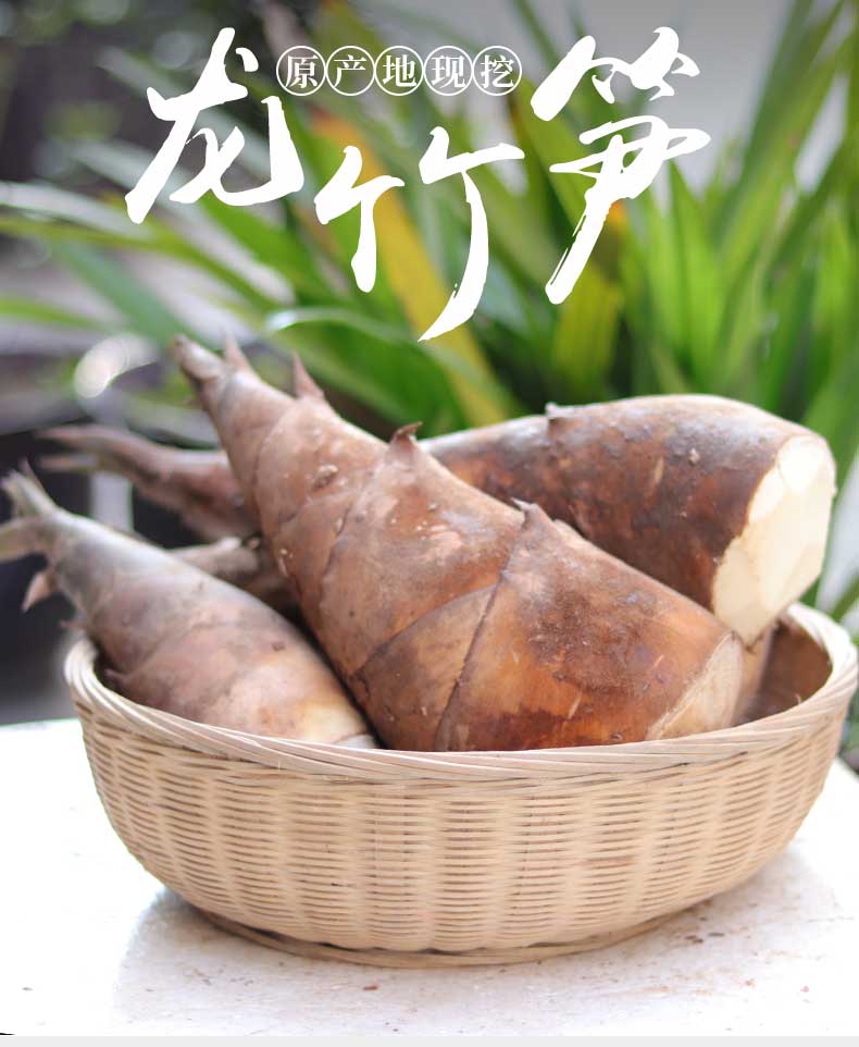 云南龙竹笋新鲜笋马蹄笋鲜笋现挖脆嫩笋尖甜笋时令冬笋蔬菜10斤装 2.