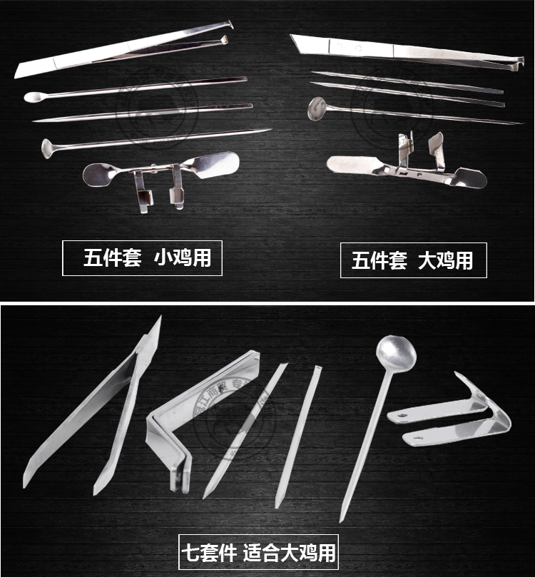 不锈钢全套阉鸡工具大鸡小鸡阉割刀 公鸡阉鸡刀 阉鸡器阉割器 五件套