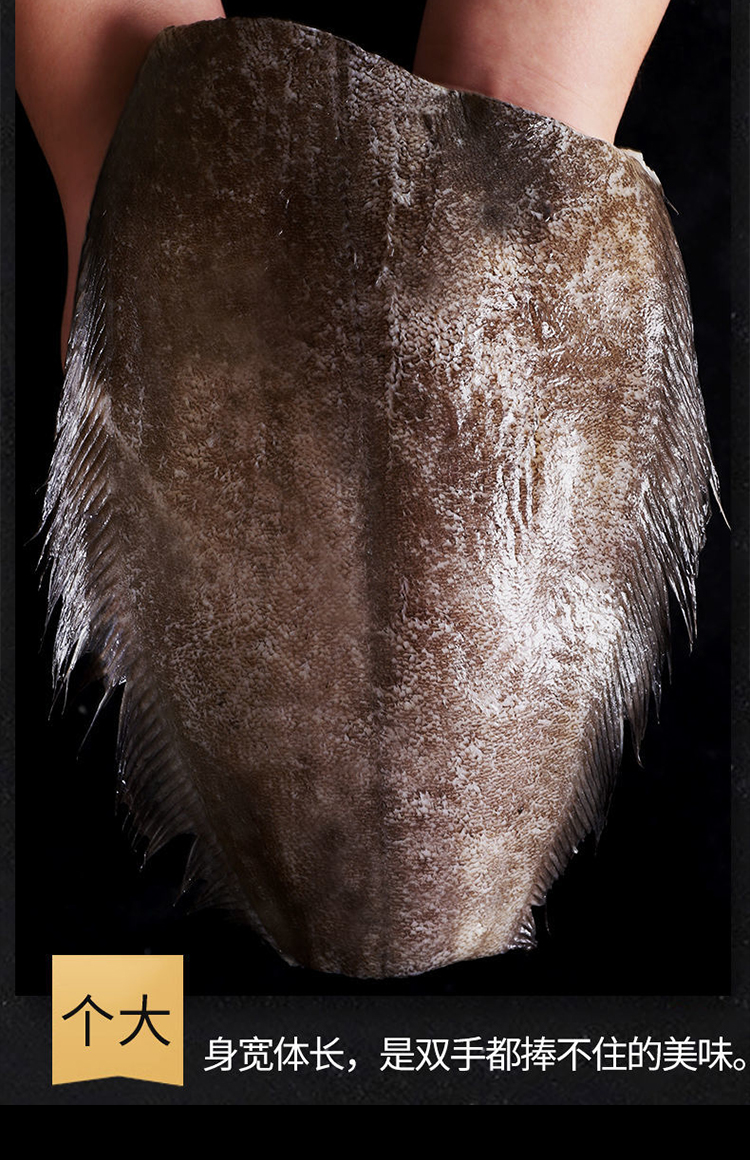 流连湾 深海鱼 格陵兰鲽鱼身 去头去尾去脏 鲽鱼比目鱼整条鲽鱼身