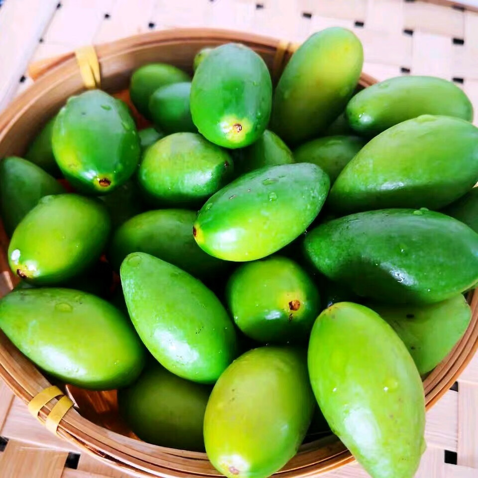 新鲜闽清青橄榄福州闽侯生吃橄榄回甘煲炖汤青果福建水果现摘现发5斤