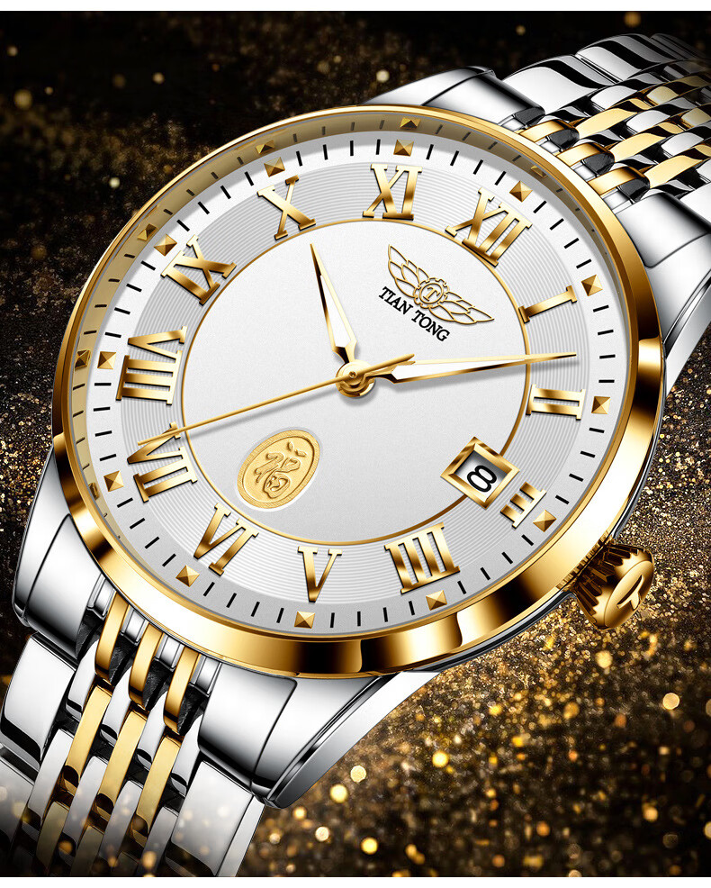 瑞士天统腕表系列男士手表全自动机械表休闲商务时尚复古罗马防水男表