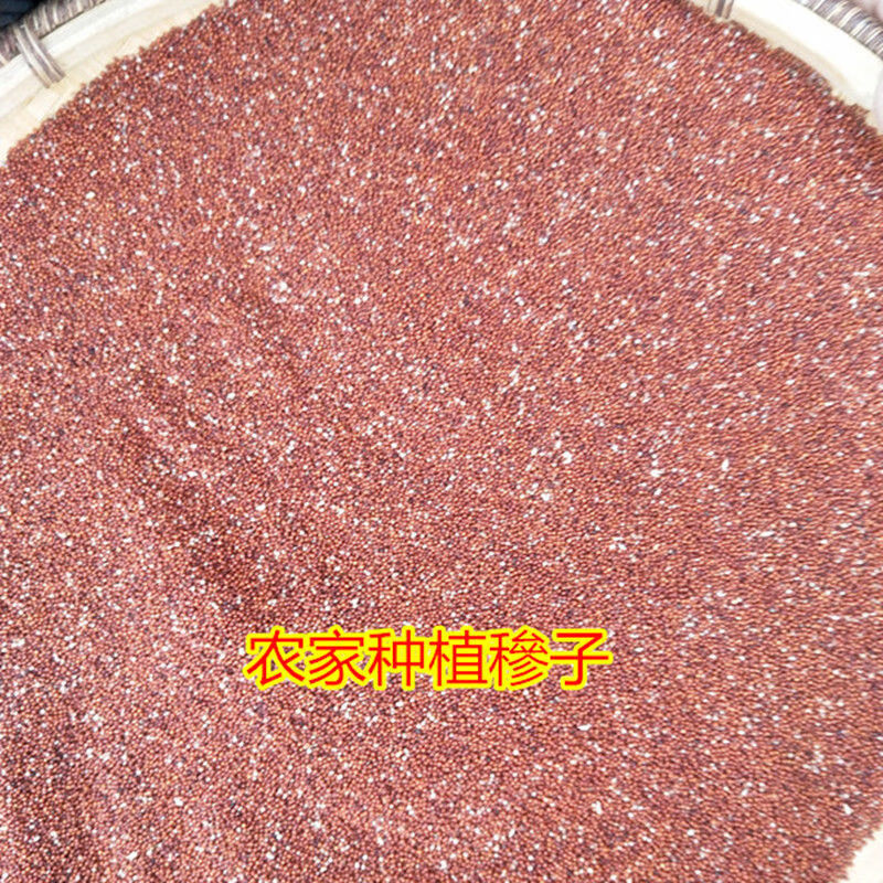 湖南娄底新化隆回邵阳特产油炸穇子粑铲子粑粑蒸鸡特色小吃产子粑500g