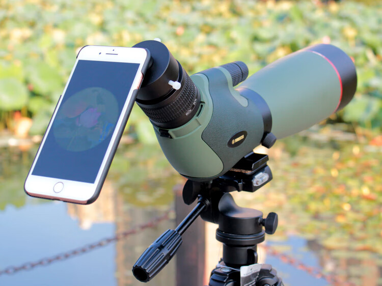 圣途森林人望远镜15-45x65 20-60x82 双ed高倍高清单筒望远镜双 30倍