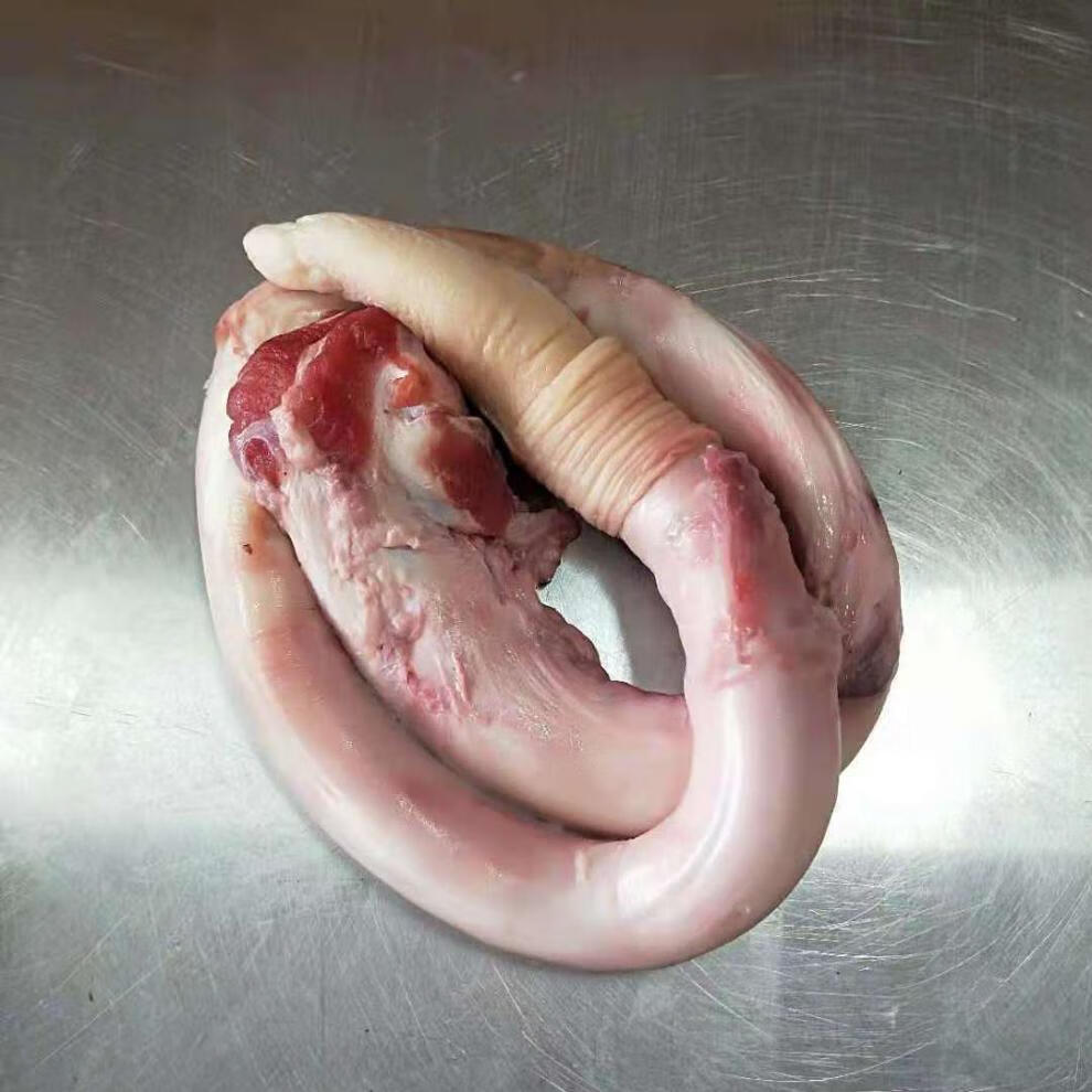 农家新鲜牛鞭现杀黄牛牛鞭整套装鲜牛鞭 【带根单独牛鞭】二斤(1至2条