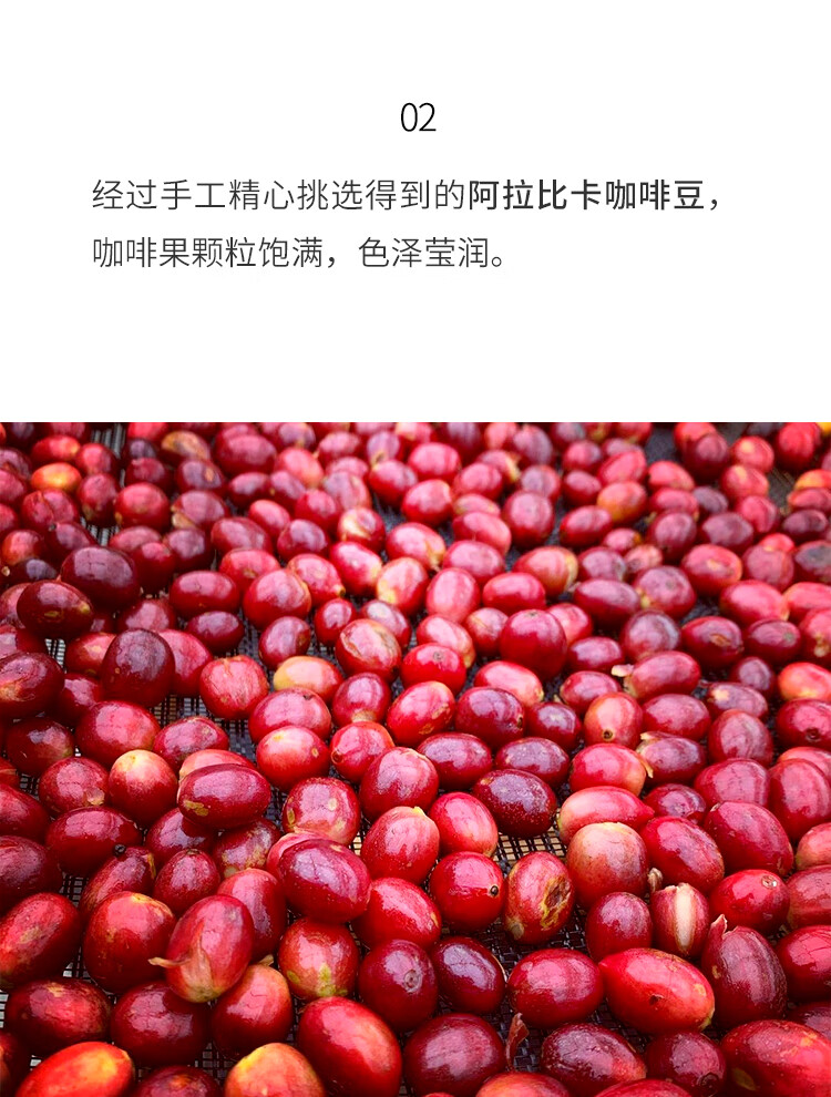 本真洪都拉斯荔枝兰咖啡豆单品手冲水洗新鲜中度烘焙227g可代磨粉