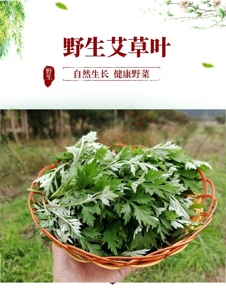 新鲜艾草叶艾叶清明草甜艾青团材料时令野菜田艾现摘现发2斤装