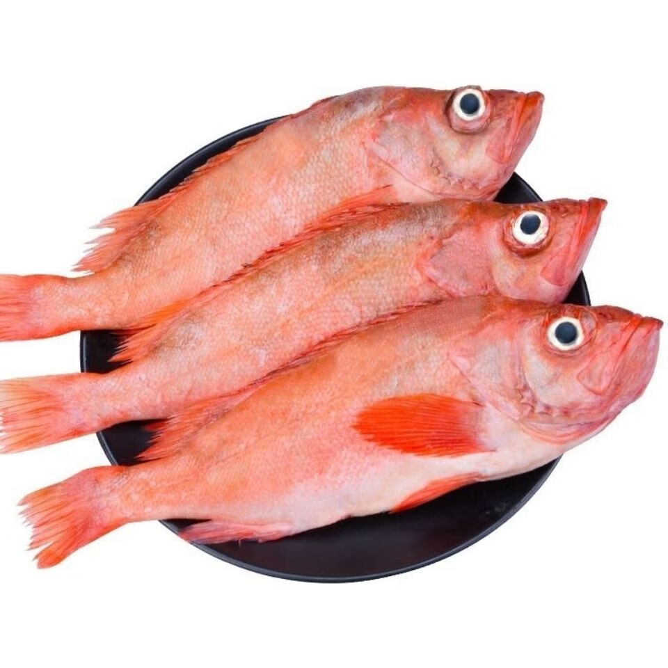 富贵鱼新鲜冷冻大眼鱼深海海鲜水产鲜活红鱼鲜琛觅5斤特惠装
