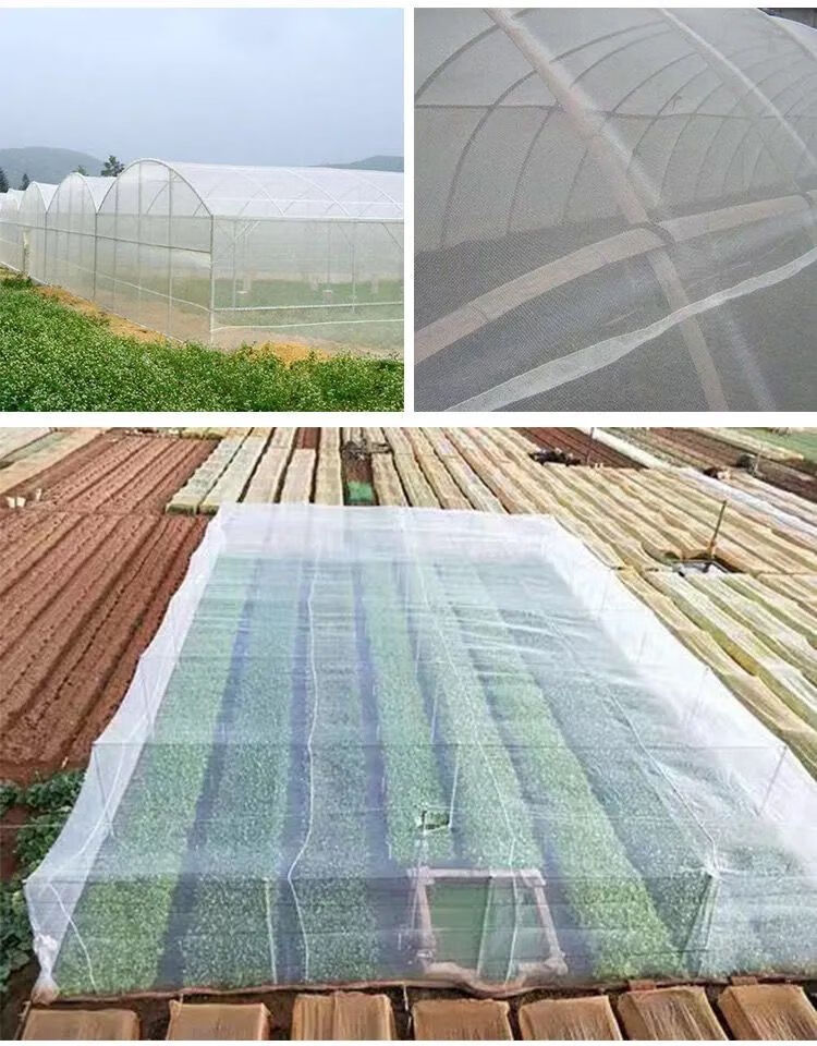 果树网罩防虫网樱桃果网水果罩网防鸟网遮果纱网多肉莲雾菜圃果园防