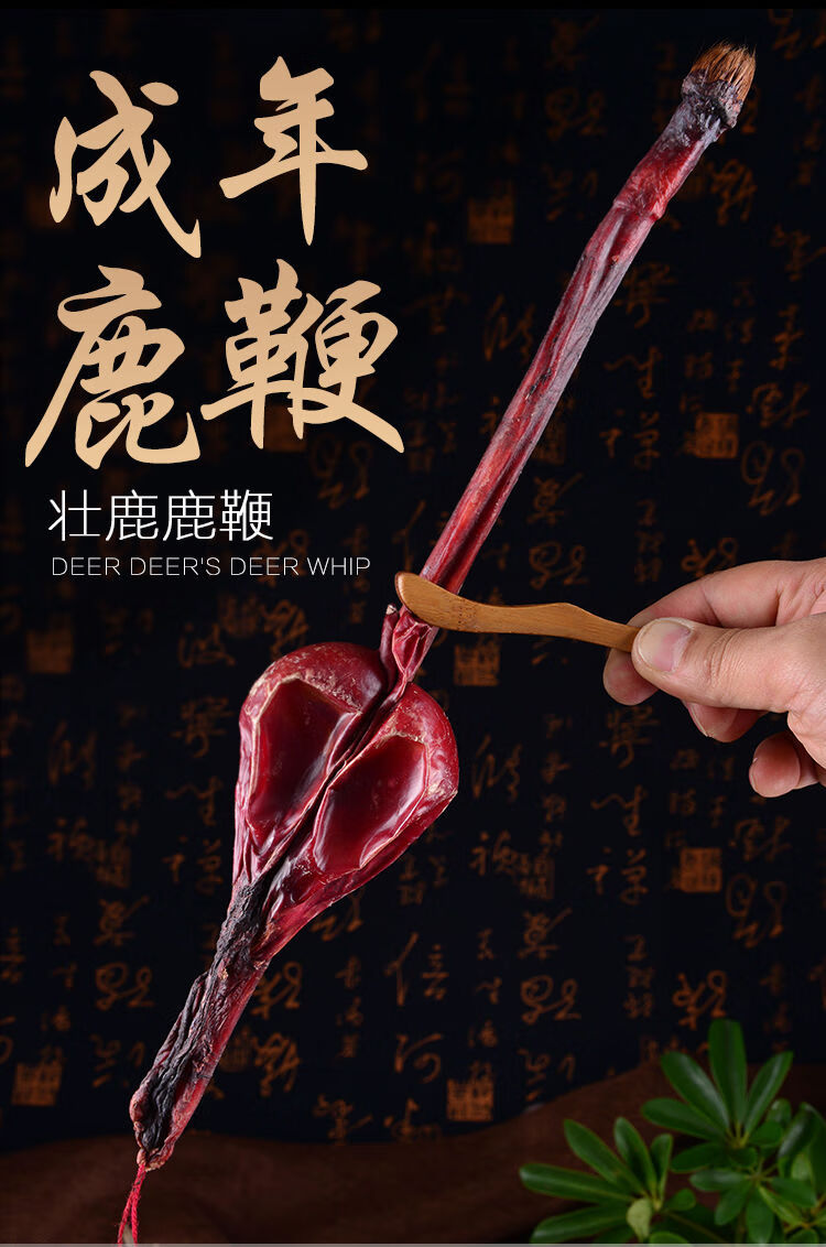 鹿鞭整支150克大鹿鞭东北干鹿鞭可切片送泡酒料鹿场梅花鹿鞭整只两根