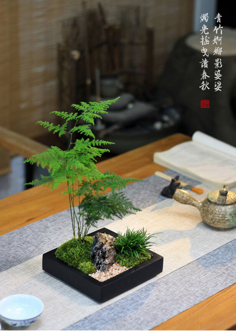 茶台摆件茶桌摆件苔藓红枫文竹菖蒲室内办公桌茶桌面苔藓盆景日式中式