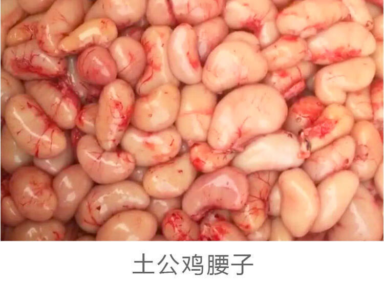 精品国产土鸡要子鸡肾鸡卵鸡睾丸鸡宝鸡春子500g 吃哪哪 土鸡腰子