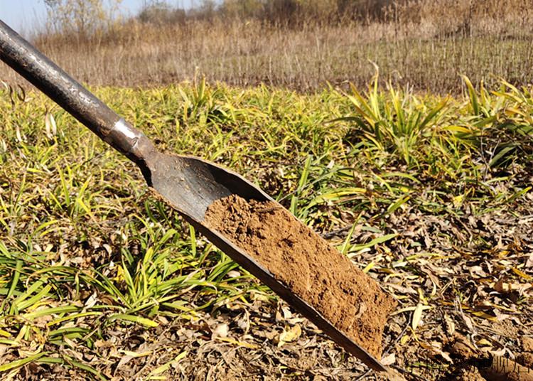 挖山药工具工程专用锰钢洛阳铲取土器挖坑挖洞山药探铲考古勘探工具打