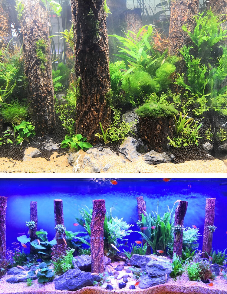 香槟树造景树干森林造景树桩雨林缸水草缸鱼缸水族天然沉木造景木 高