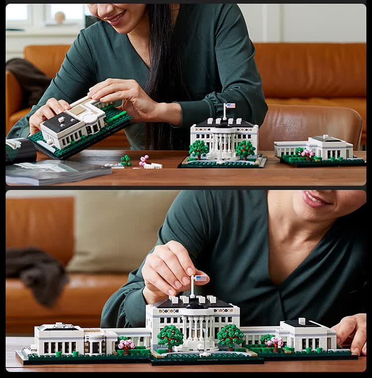 lego乐高21054 美国白宫 建筑系列积木玩具男孩子拼装儿童生日 21039