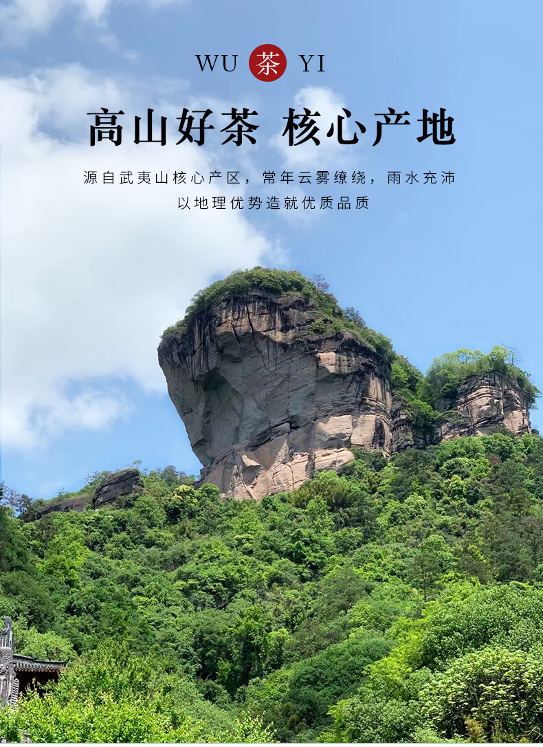 5折虎啸岩肉桂正岩虎肉武夷山浓香贡品大红袍新茶果香肉桂500g装