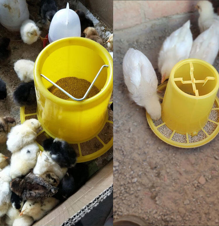 喂鸡食槽小鸡饮水器自动喂食器料桶塑料喝水壶喂鸡鸭小鹅鸽子神器4l料