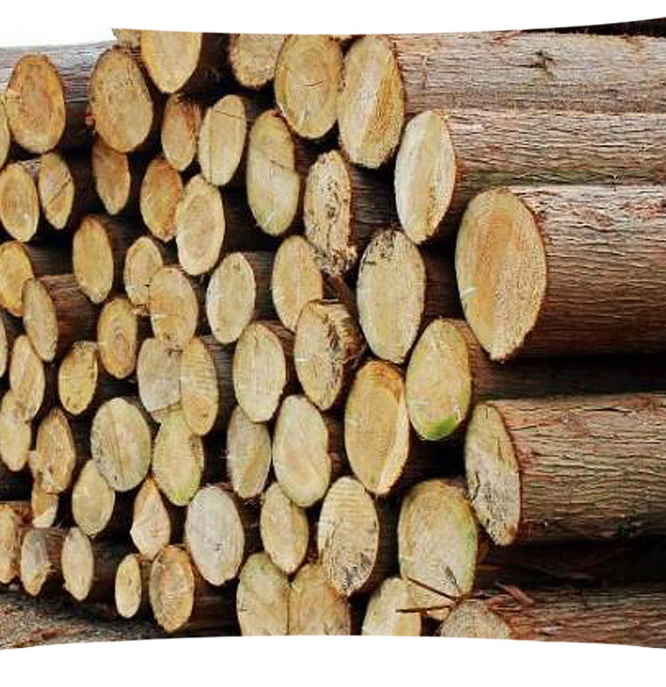 香樟木边角料 天然香樟木边角料驱虫余料樟木块纯原木碎片樟木屑防蛀