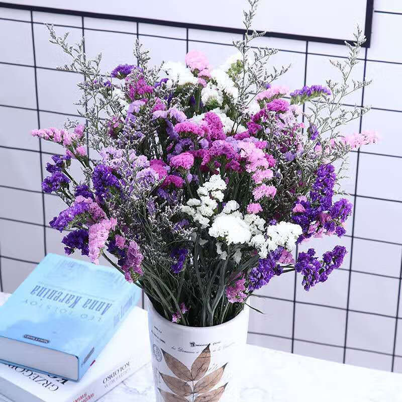 勿忘我满天星干花花束家居装饰花插花客厅花束深紫浅紫粉白草大束60