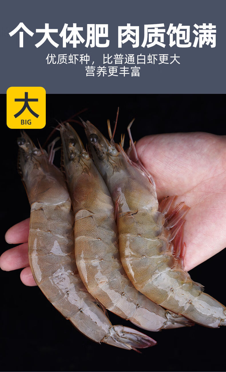 新鲜青岛大虾鲜活超大基围虾青虾特大号大虾海鲜冷冻海虾大虾一箱福茹