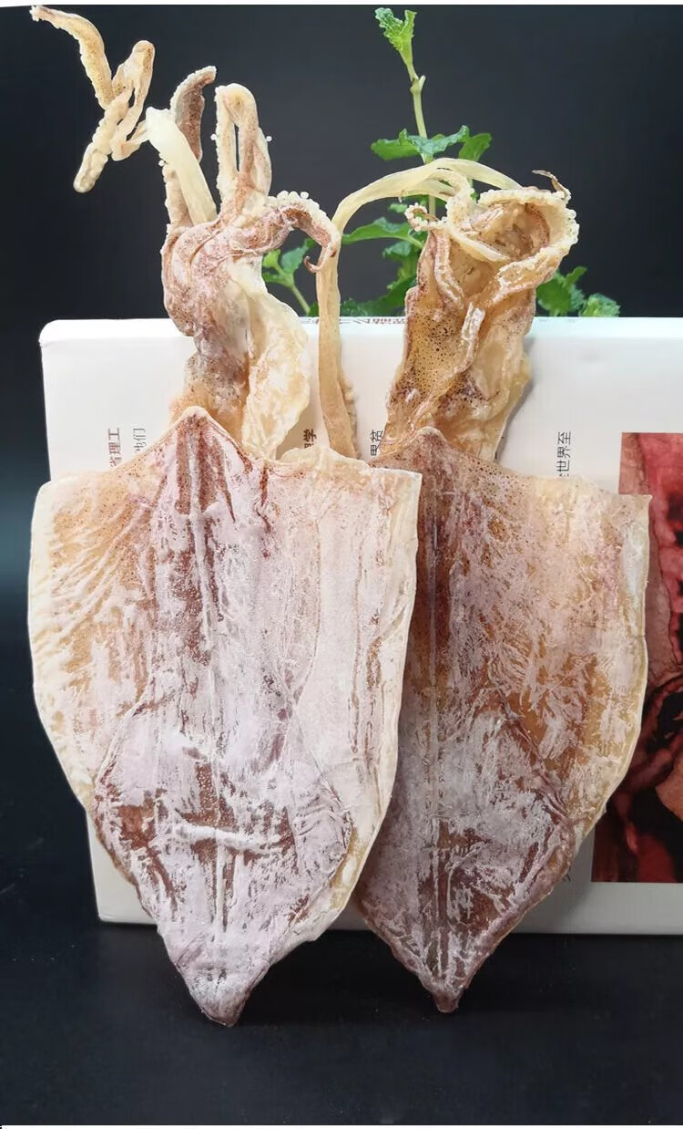 无头鱿鱼500克无头无须【图片 价格 品牌 报价】-京东