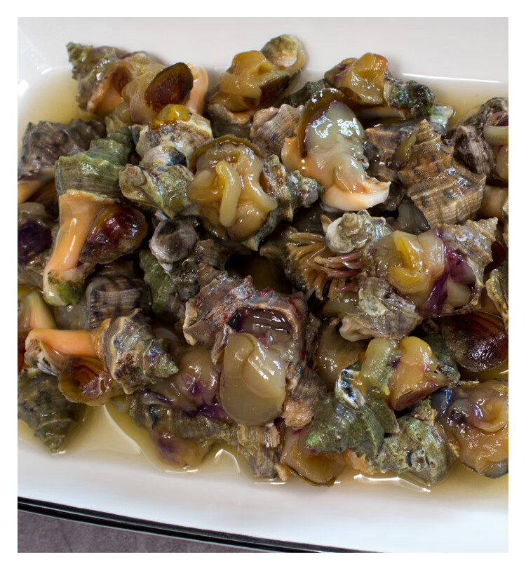 温州特产小吃辣螺温州海螺开瓶即食舟山醉辣螺下饭香辣螺500g