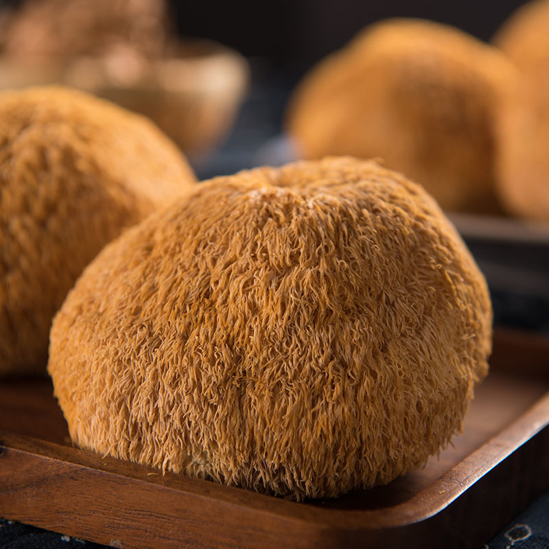 长白山猴头菇东北特产野生猴头菇纯干货调理猴菌菇猴头菌 长白山猴头