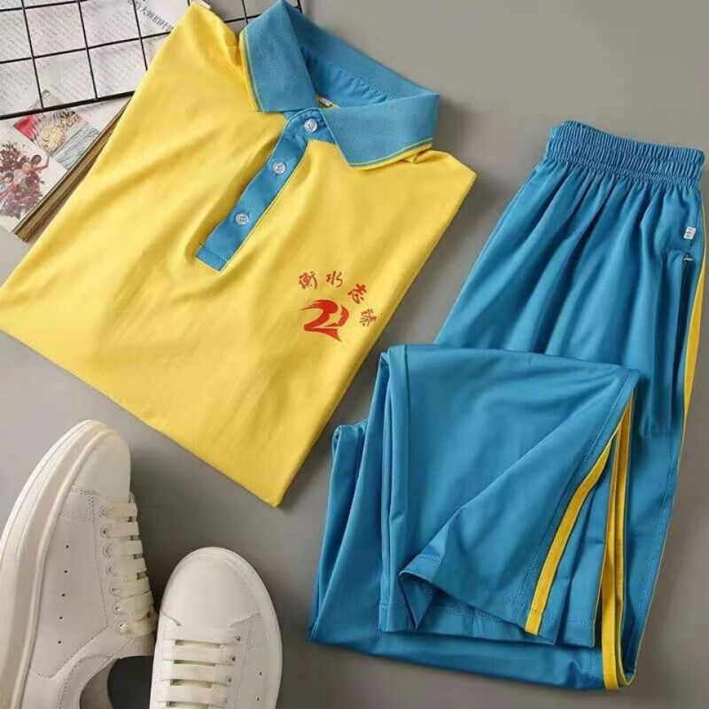 歌鹏衡水二中志臻校服衡水二中志臻中学滨湖清河安平校区初中男生女生