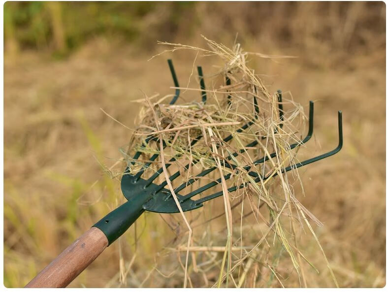 其六家用搂草筢子铁扒子钢耙子农具园林园艺工具菜园树叶耙草爬草耙子