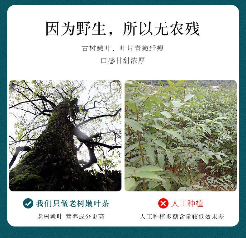 9cf7fb7e8f7334ce.jpg