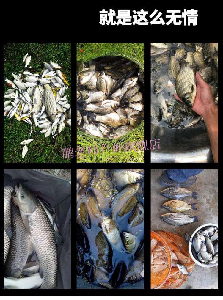 2021年日本进口玖雅魔力素钓鱼小药黑坑野钓诱鱼剂腥鱼饵定制两瓶装送