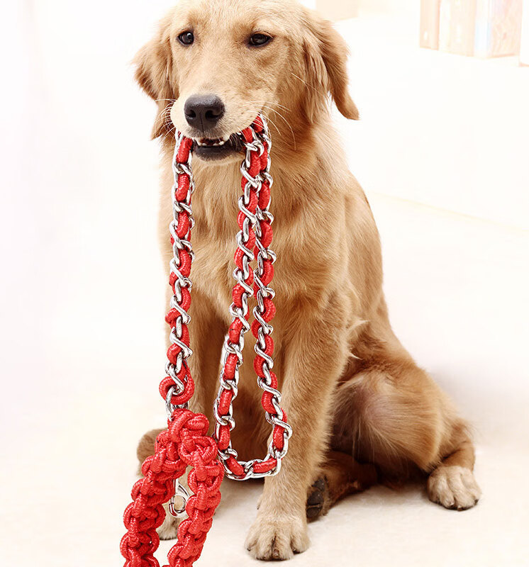 狗狗牵引绳铁链子中大型犬金毛拉布拉多防咬铁链镀镍防生锈项圈 蓝黑