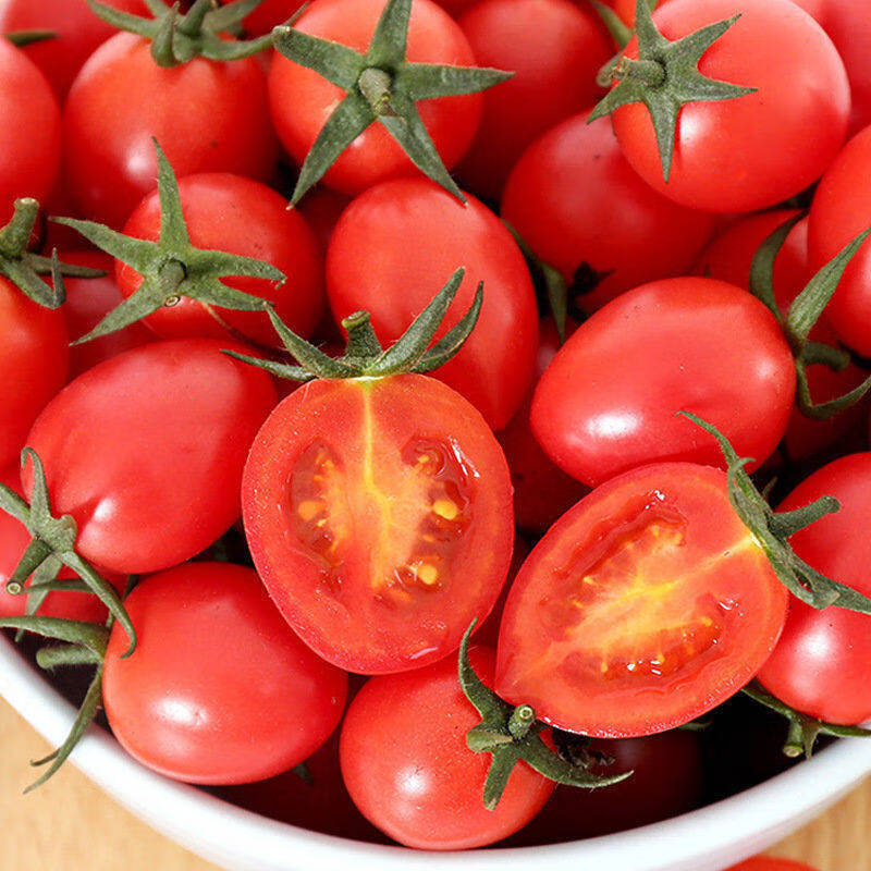 小西红柿真实图片