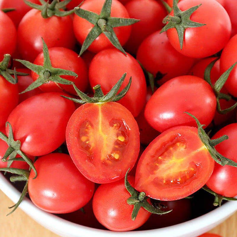 农家圣女果云南小番茄小西红柿新鲜生吃4斤