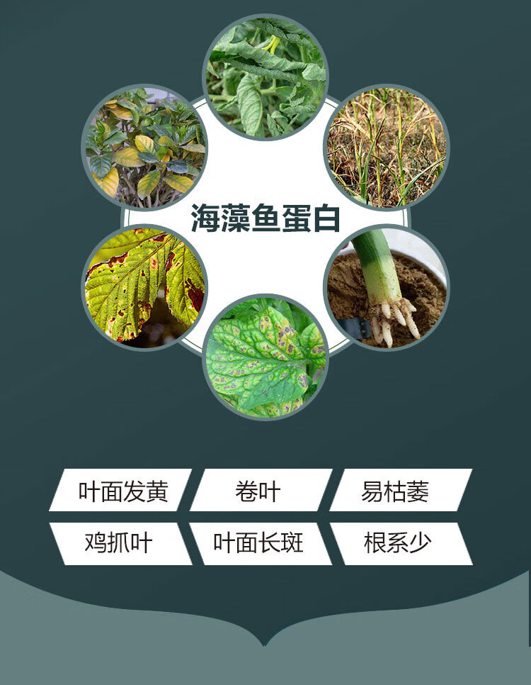 海藻鱼蛋白叶面肥水溶肥喷施微量元素黄叶死苗一喷绿蔬菜有机肥1000g