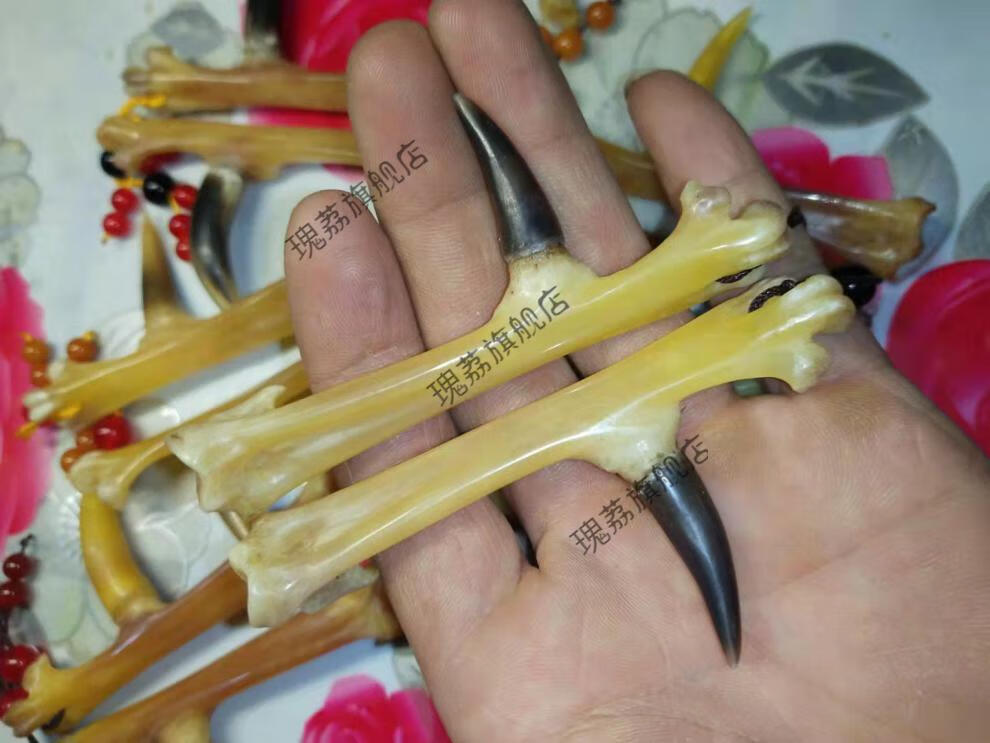 2022新款冷门把件鸡爪骨手把件盘玩鸡拐子冷门文玩男士随身把玩抓钱手