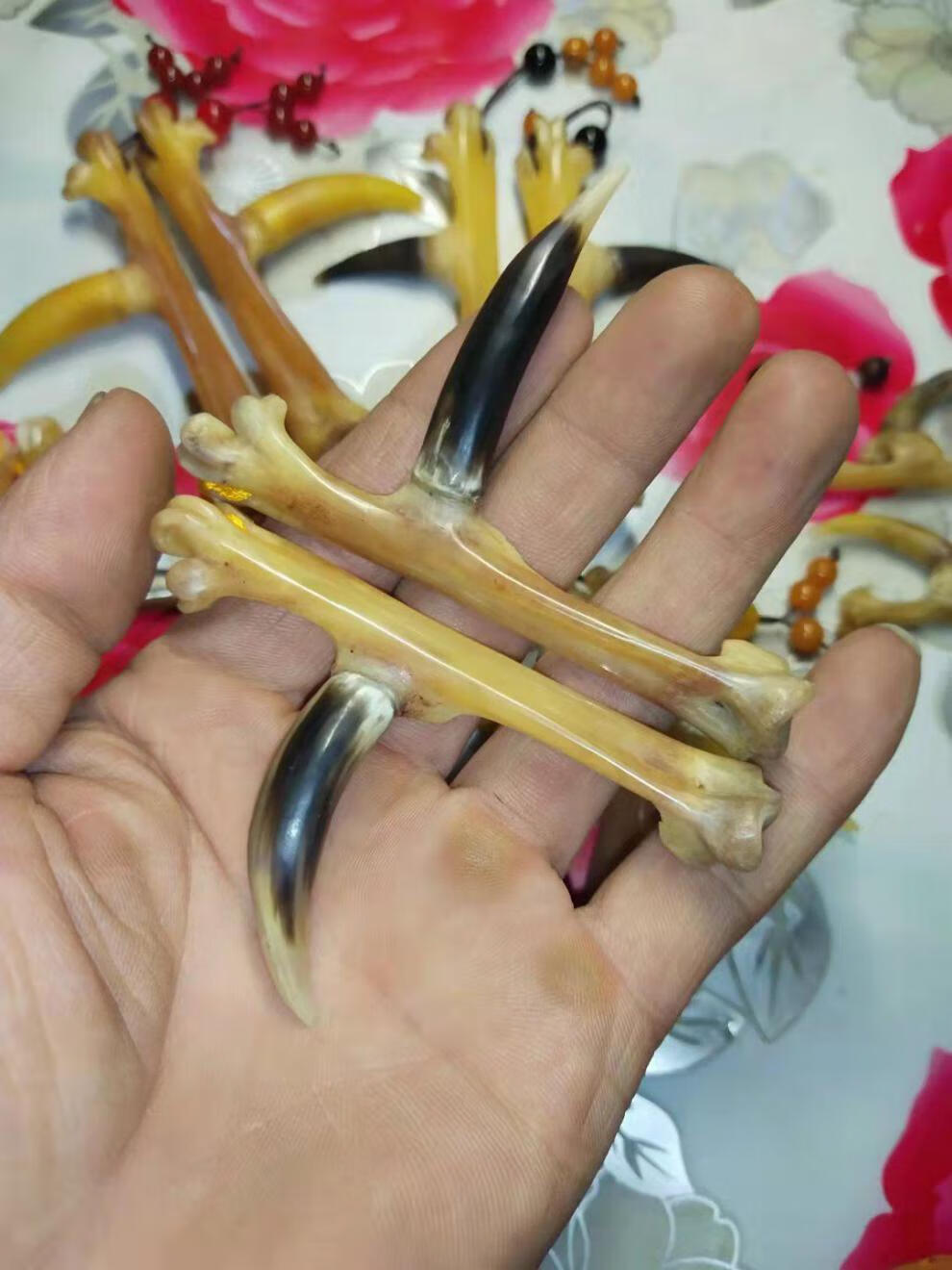 高品质土鸡文玩鸡蹬子鸡爪骨手把件盘玩鸡拐子冷门文玩男士随身把玩抓