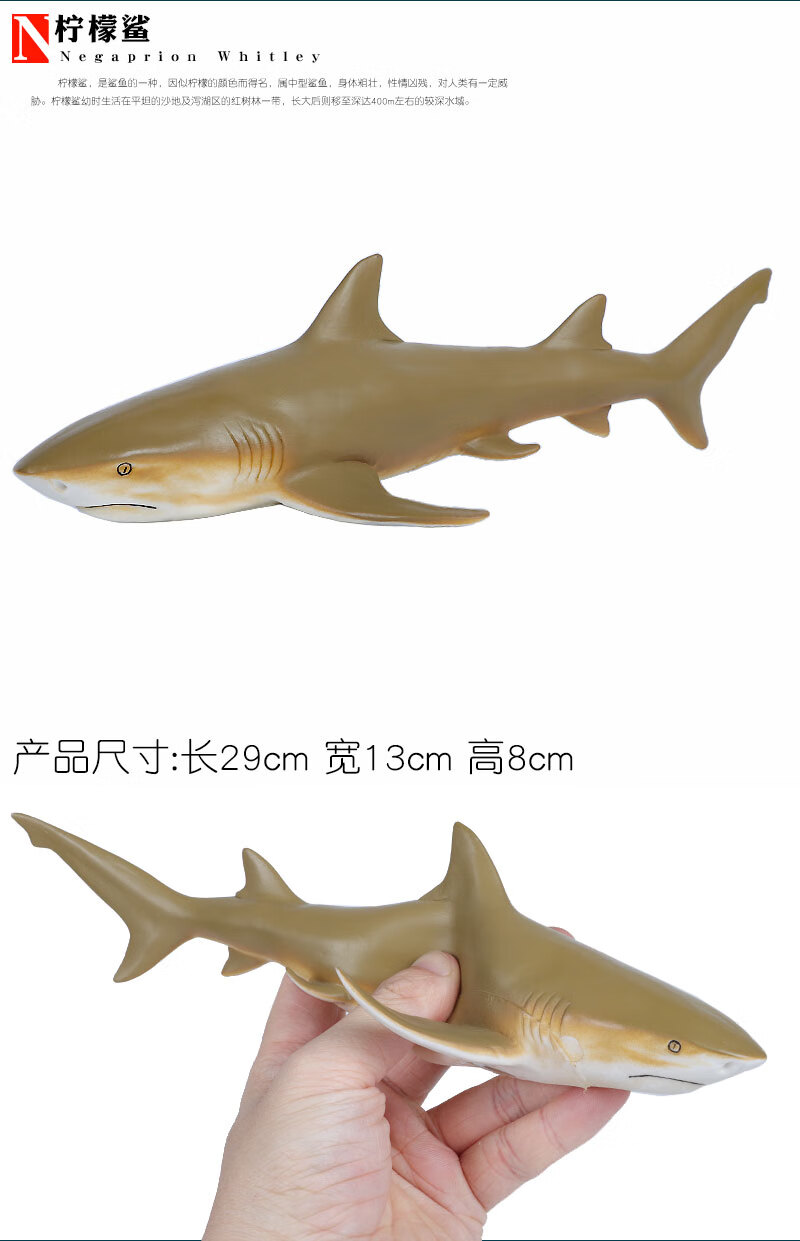 海底仿真海洋生物软胶大白鲨玩具动物模型鲨鱼鲸鱼软的儿童男礼物锤头