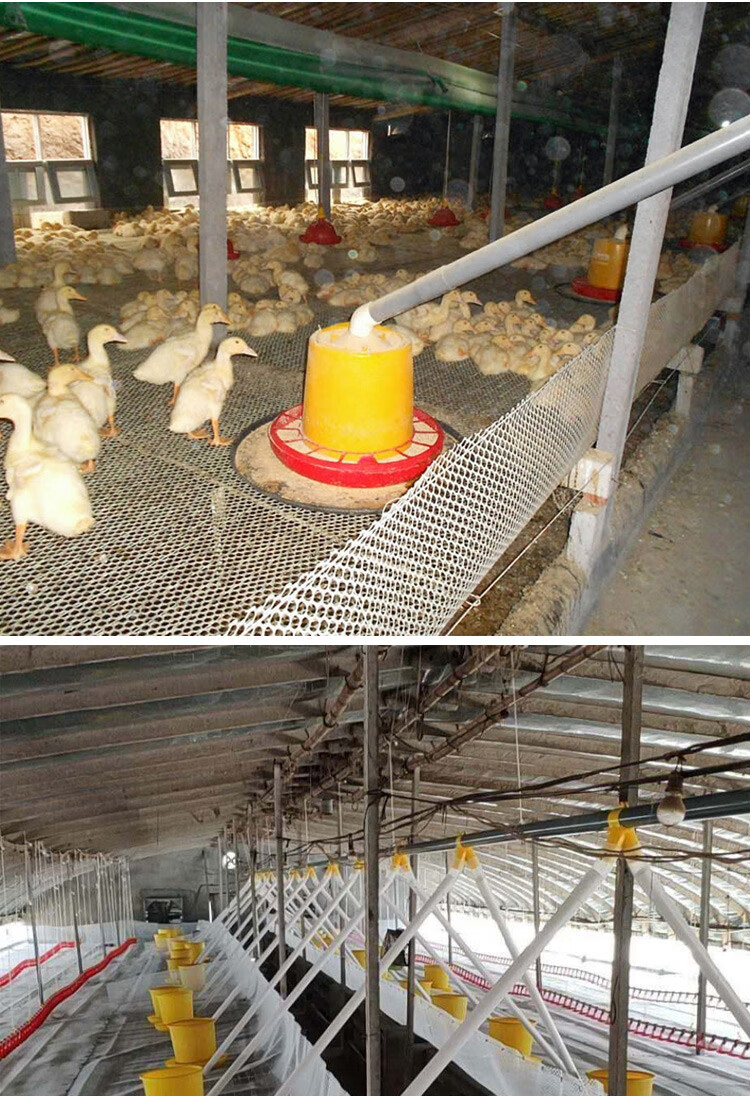 自动喂料机鸡鸭鹅猪用料线绞龙上料机养殖全套加料投料设备简易型料线