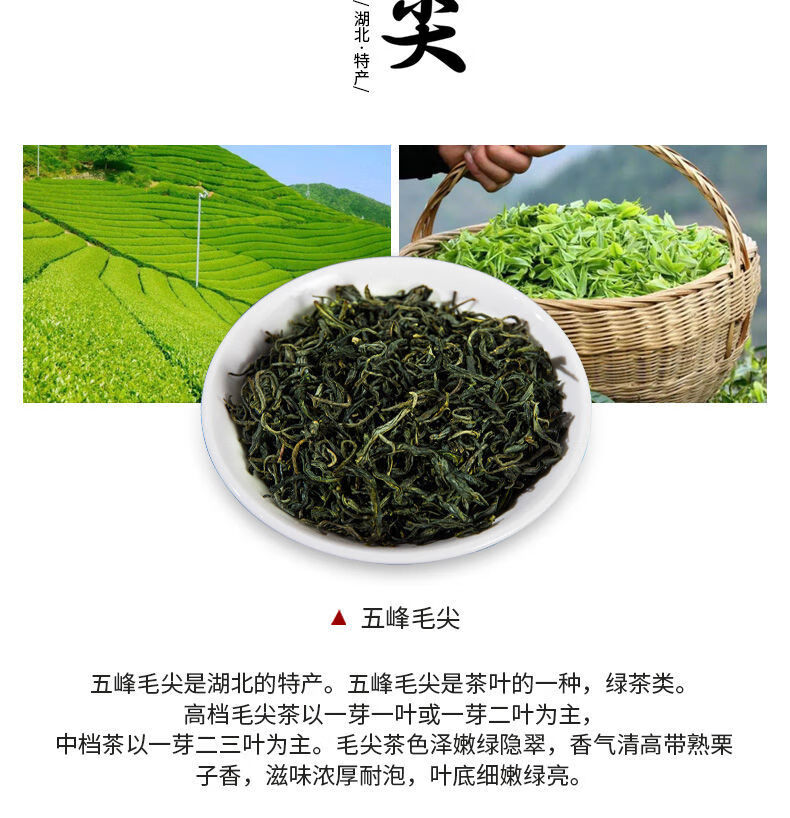 五峰毛尖绿茶嫩芽茶叶罐装浓香耐泡高山绿茶湖北宜昌特产 绿茶袋装250