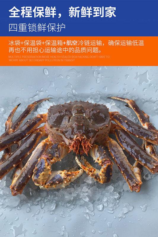 六鲜钓海旗舰店特大帝王蟹鲜活冷冻巨型大蟹超大螃蟹年货海鲜礼盒送礼