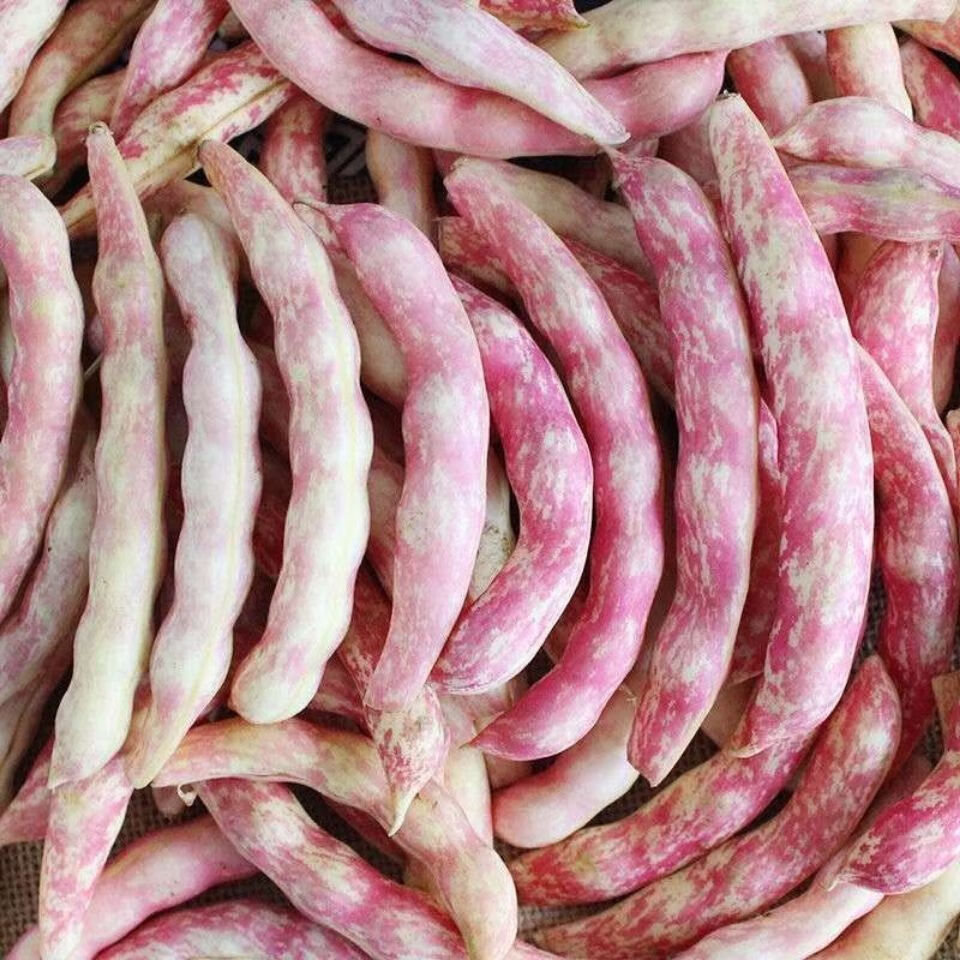 源外 东北黄金勾新鲜油豆角鼓豆豆角新鲜蔬菜勾钩黄 5斤【图片 价格