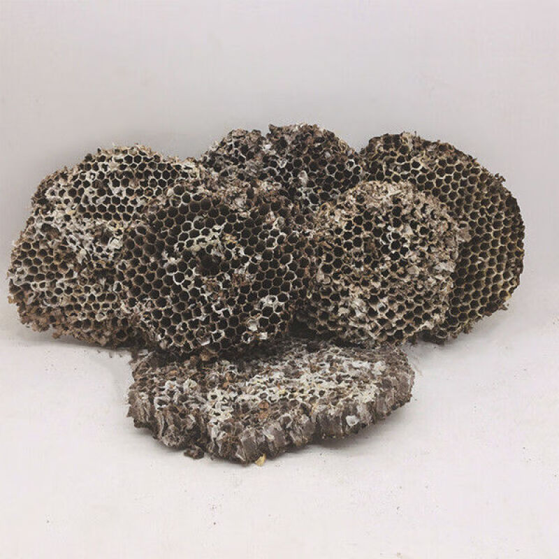野生露蜂房中药材马蜂窝黄蜂房可打蜂房粉牙痛中药材100g/件 250克