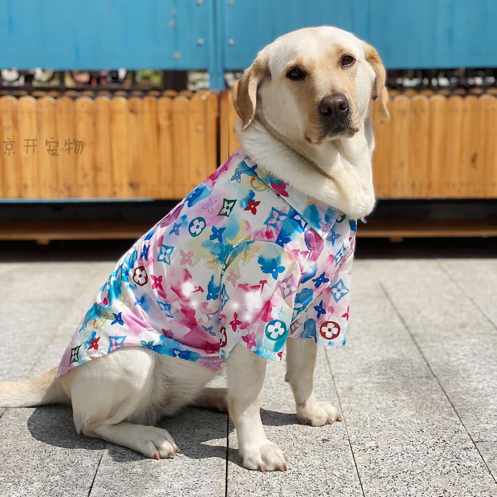 狗狗夏天衣服防晒防掉毛大型犬宠物扎染字母帅气时尚衬衫夏季薄款金毛