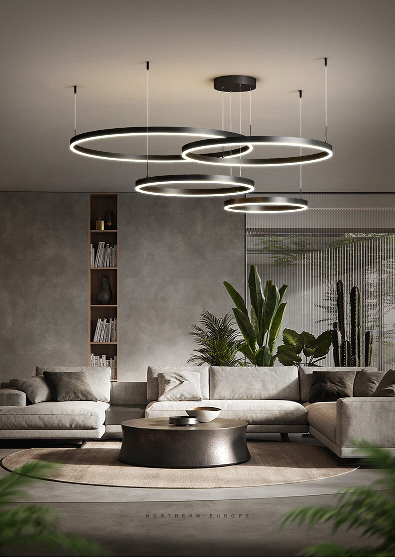 极简圆环大厅灯具套餐2021新款北欧轻奢客厅餐厅灯饰黑色2圈604050w