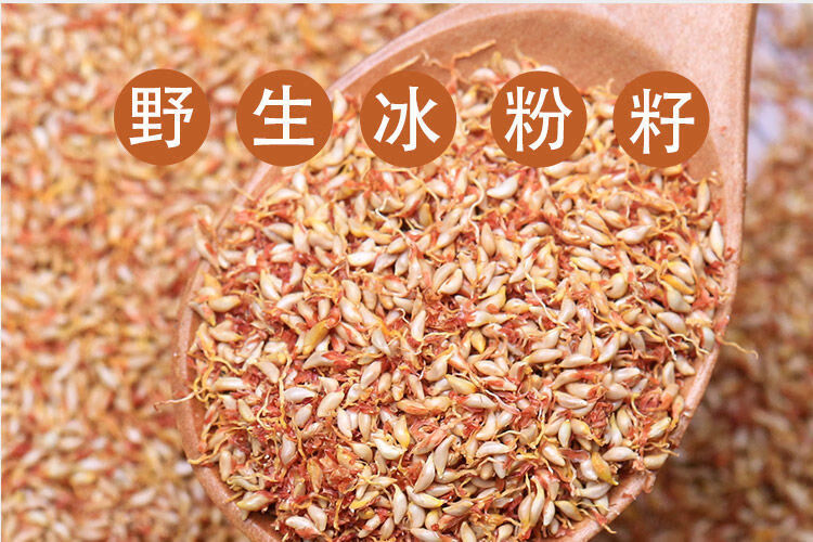 贵州特产手搓冰粉籽不加石灰爱玉木莲籽清凉小吃凉粉冰粉籽100g1个