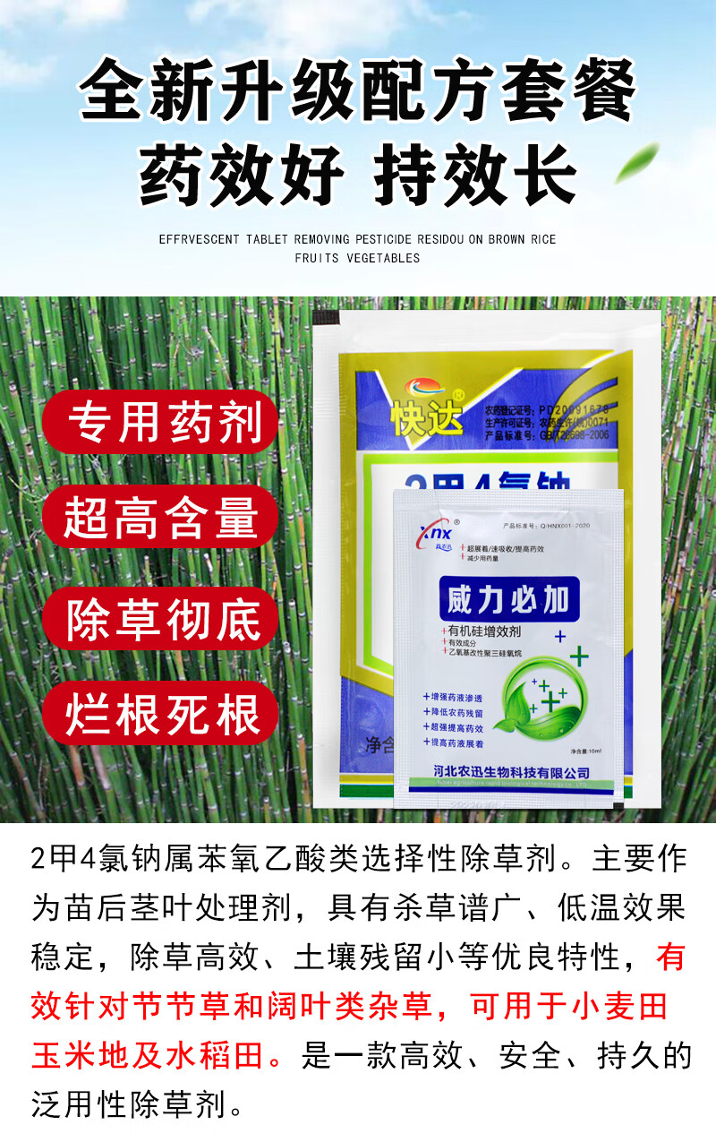 农药专杀笔管草烂根除草剂节节草专用除草剂节骨草笔杆草死根仙葩18ml