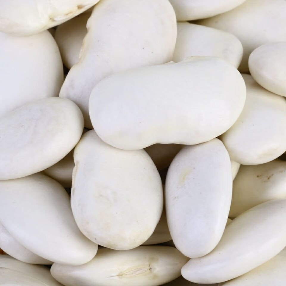 大白芸豆2021新云南大白豆大雪豆农家五谷杂粮豆类手工