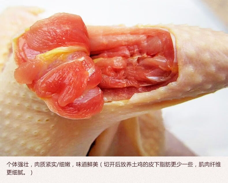 农家正宗散养大公鸡土公鸡农村土鸡老公鸡花约朵娜宰杀后净重9斤2年