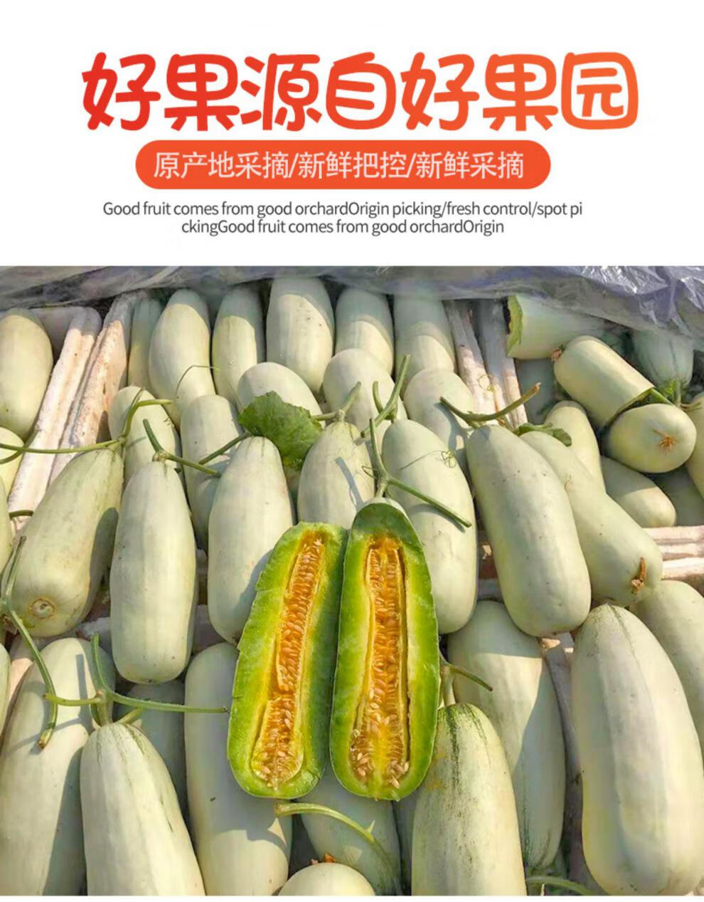 山东国产/进口:国产包装形式:简装类别:蜜瓜品种:羊角蜜商品产地:中国