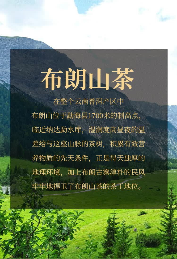 霄青竹 云南普洱茶布朗神韵熟茶叶云南饼茶批发古树普洱熟茶元旦春节